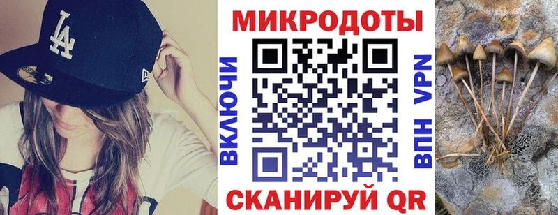Псилоцибиновые грибы мицелий  Фролово 
